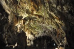 078_postojna_cueva__2_