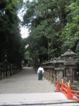 Nara_Kasuga Taisha_2
Nara_Kasuga, Taisha_, Paseo, farolas, piedra, monje, caminando