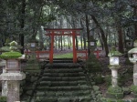 Nara_Kasuga Taisha_3
Nara_Kasuga, Taisha_, precioso, torii, lleva, más, allá