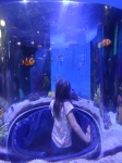 188_Toronto_Aquarium_Candela_&_Pez_Pallaso