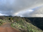 La_Palma_013_Buracas(1)
La_Palma_0_Buracas, Pista, Buracas, tierra, ruta, dragos