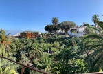 Tenerife_094_Drago_Milenario(3)
Foto, parque, desde, mirador, durante, visita