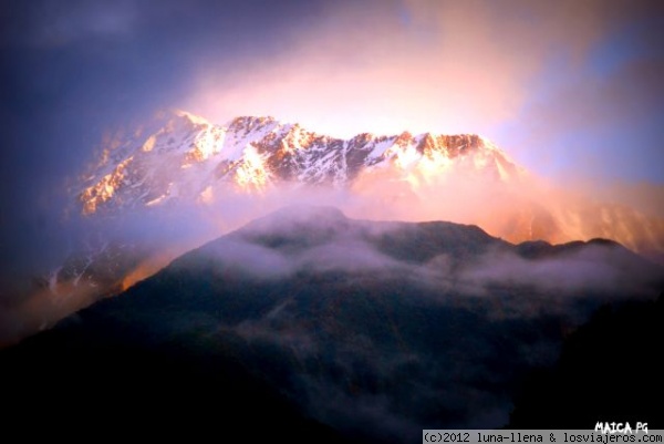 FRANZ JOSEF - Nueva Zelanda