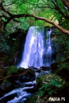 MATAI FALLS-CATLINS
matai falls cataratas catlins nueva zelanda isla sur