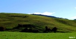 ROTORUA-ISLA NORTE