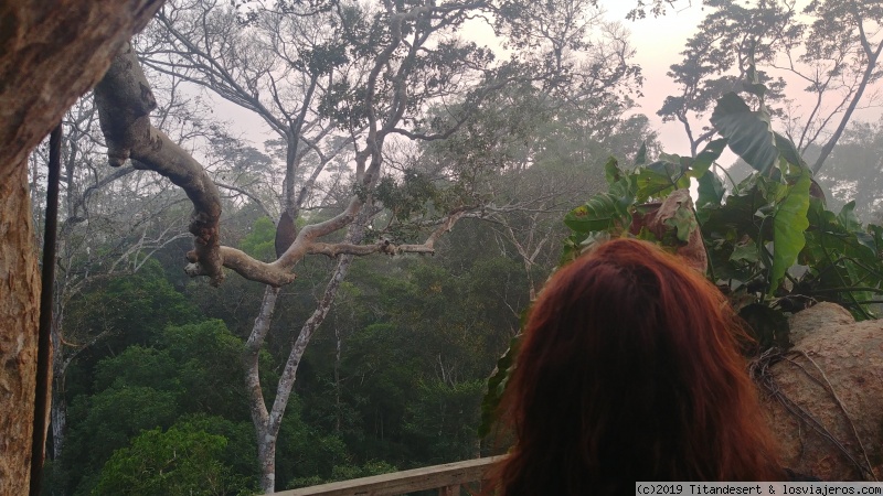 Amazonas. tercer día, Canopy y regreso a Lima. - Perú casi por libre. (3)