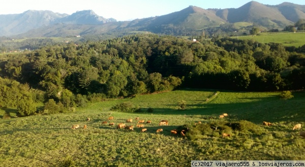 Montañas en Asturias
Imagen típica del paisaje asturiano en el Principado de Asturias
