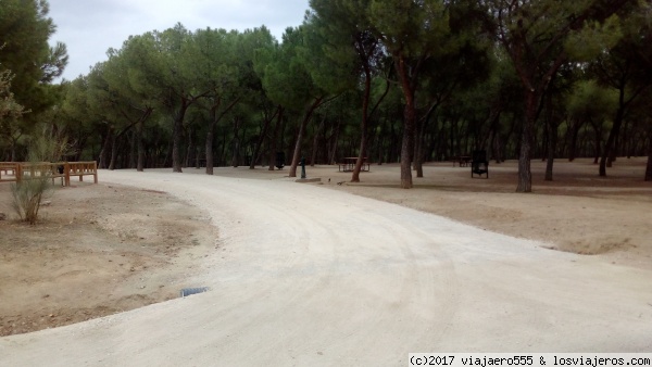 Casa de Campo de Madrid
Fotografía de la Casa de Campo en Madrid. Sitio ideal para hacer rutas de senderismo de dificultad baja, ya que el terreno es practicamente llano. También hay rutas muy interesantes para hacer en bicicleta.
