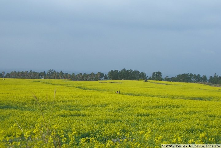 Clima en Corea del Sur: temperaturas, mejor época de viaje - Forum Japan and Korea