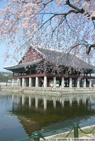 Palacio Gyeongbokgung
Palacio Gyeongbokgung en Abril, con los árboles en flor. En Seul, Corea del Sur.
