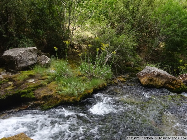 Nacimiento del Río Pitarque
Uno de los tramos de la ruta al nacimiento del río Pitarque. Una de las rutas dentro de The Silent Route.
