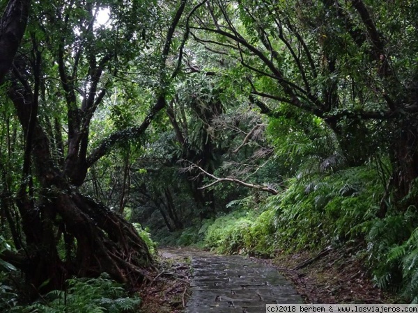 Camino Caoling
Parte del Camino Historico Caoling, el único superviviente de los caminos históricos de la dinastía Qing.
