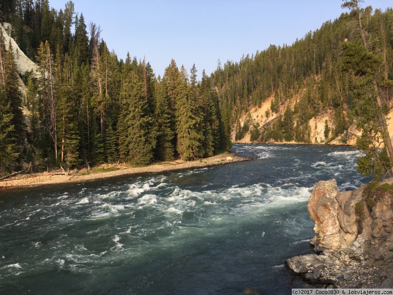 Día 4 YELLOWSTONE. - RUTA DE 24 DIAS POR LOS PARQUES NACIONALES DEL OESTE AMERICANO (1)