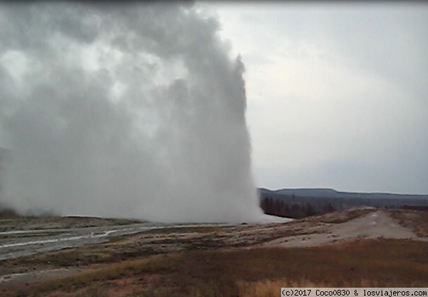 OLD FAITHFUL
Geiser Old Faithful en erupción
