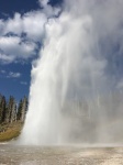 DIA 6 YELLOWSTONE-GRAN TETON-OGDEN.