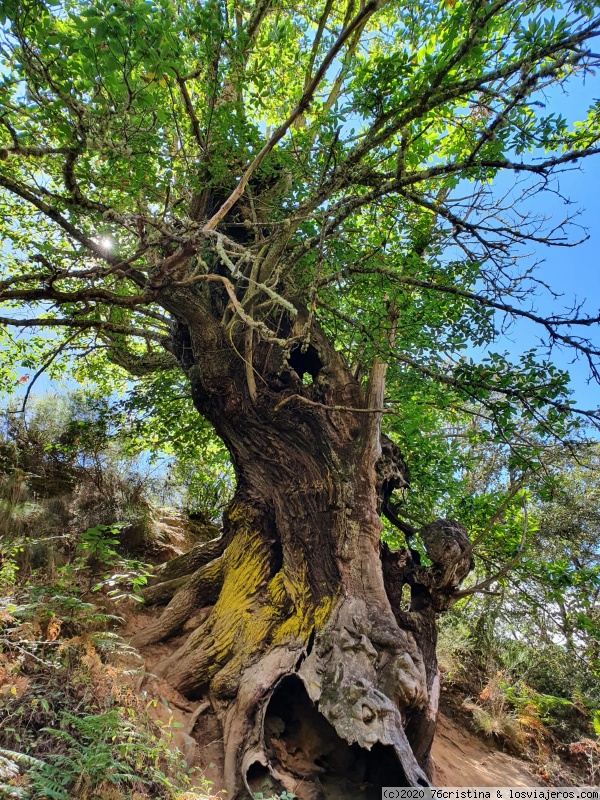 30/08 Las Médulas - Zufreiros del Frade - 10 días por el Bierzo y el occidente Asturiano (6)