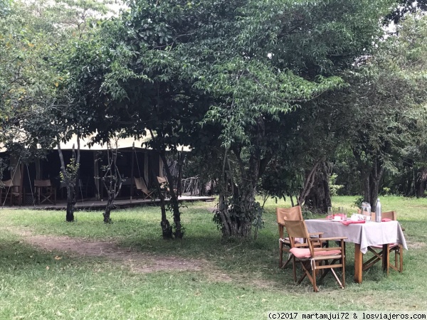 Comedor
La tienda del comedor al fondo y la posibilidad de comer debajo del árbol
