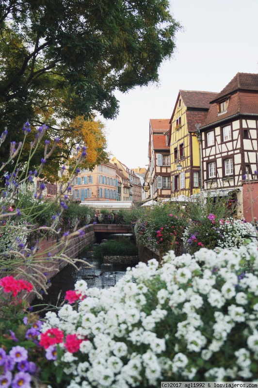 DÍA 4. SELVA NEGRA Y COLMAR - ALEMANIA. Ruta romántica, Selva Negra y escapada a Alsacia. (16)