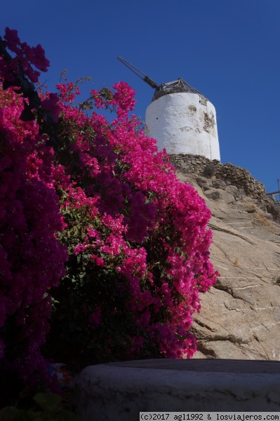 9 Días por las islas griegas - Blogs de Grecia - Mikonos (día 8) (3)