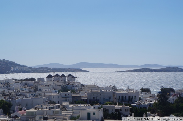 9 Días por las islas griegas - Blogs of Greece - Mikonos (día 8) (5)