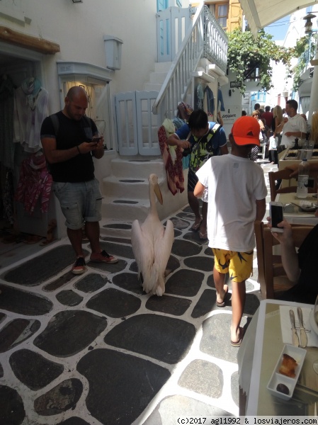 9 Días por las islas griegas - Blogs of Greece - Mikonos (día 9) (7)