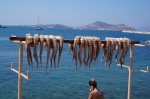 Pulpos al sol
pulpos, naxos, islas griegas, islas cicladas, grecia