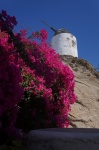 Molino
molino, mikonos, islas griegas, islas cicladas, grecia