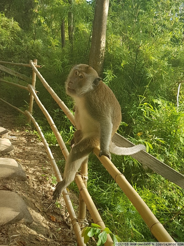 EXCURSION A LAS PHI PHI, ESPAÑOLES POR TAILANDIA Y ATARDECER MARAVILLOSO - PRIMERA TOMA DE CONTACTO CON ASIA: TAILANDIA!! en construcción (5)