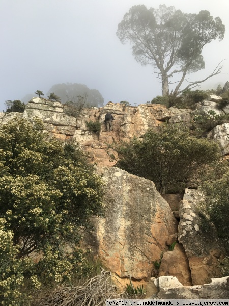 Lion's Head (chains path)
Lion's Head
