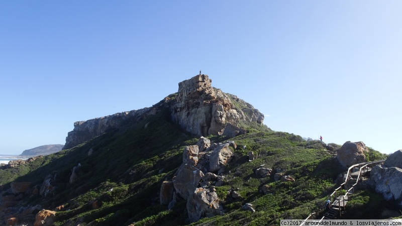 Cape Town y Garden Route - Sudáfrica y Cataratas Victoria para principiantes... (5)