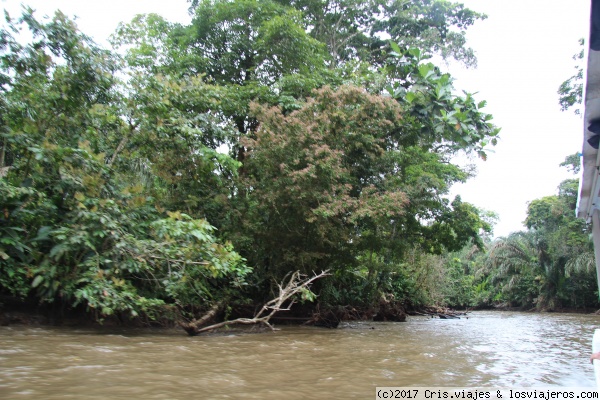 Tortuguero
canal
