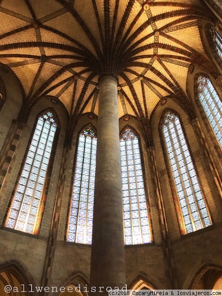 Convento de los Jacobinos, Toulouse
Joya de del arte gótico medieval. Gigantesca obra de ladrillo construido en los siglos XIII y XIV por los frailes dominicos, es uno de los edificios más originales de la ciudad. En su interior destaca su magnífica bóveda en forma de palmera y sus vidrieras.
