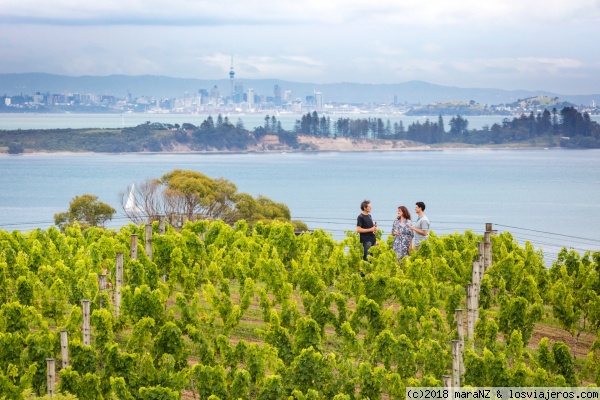 Waiheke
Auckland
