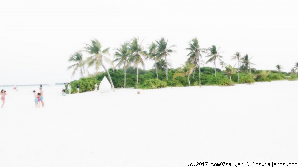 Beaches of Maldives
Clicked at the beaches of Dhonakulhi Island, Haa Alifu Atoll, Maldives.
