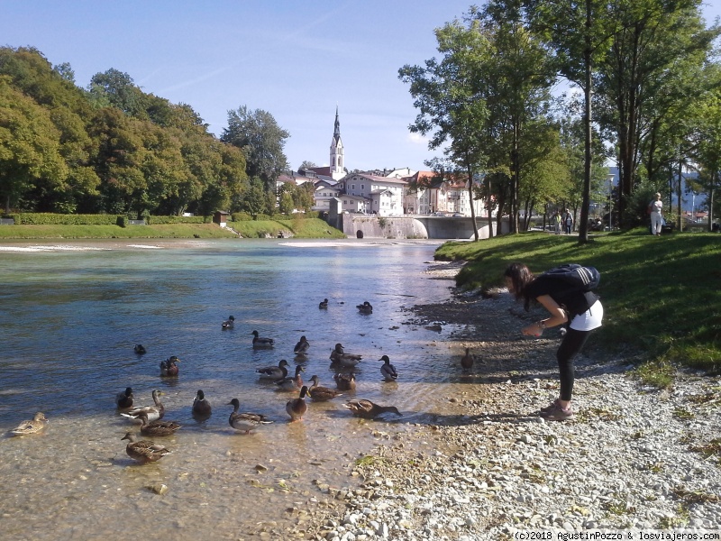 Día 11: Lago Achensee, Bad Tolz y Alpbach - 21 días recorriendo Alemania, Suiza, Austria y Checa en auto (3)