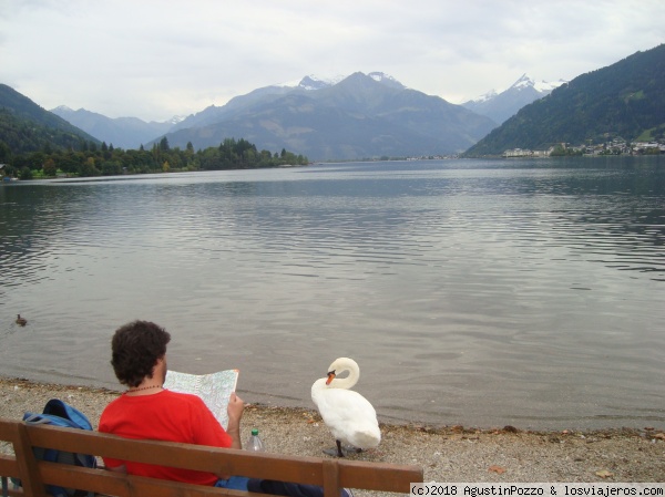 Zell am see
Precioso lago rodeado de montañas
