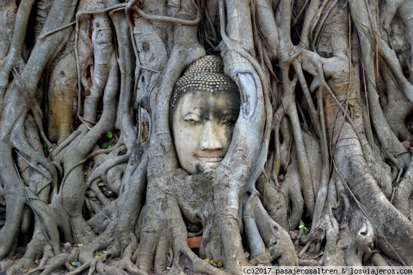 Wat phra Mahathat - Ayutthaya
Buda atrapado entre raices en Wat phra Mahathat
