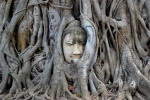 Wat phra Mahathat - Ayutthaya
Tailandia, buda, raices, Wat phra Mahathat, Ayutthaya