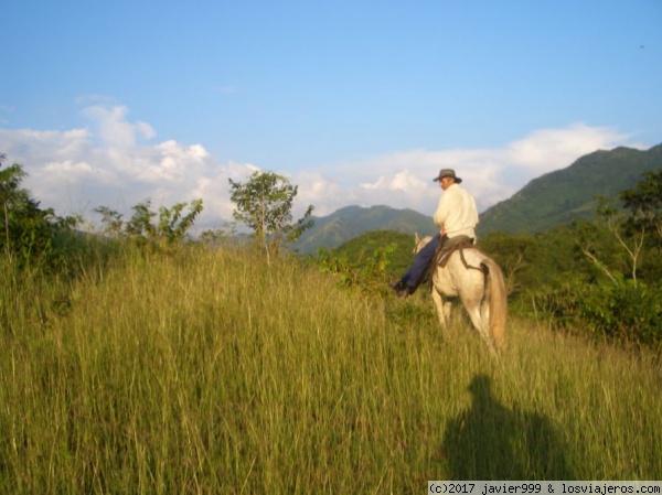 el capataz de la finca entre el pasto
recorriendo la finca El Paraíso en El Cesar Colombiano
