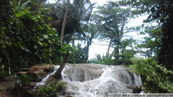 Una cascadas pequenas en Ocho Rios
Los jamaicanos les gustan mucho el agua dulce. La mayoría pasan tiempo disfrutando de esta cascada. Es un lugar local que es sencilla y chulo.
