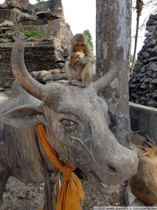 Cumpliendo un sueño: Tailandia 2018 - Blogs de Tailandia - Día 3: Ayutthaya y cena frente al Wat Arun (1)