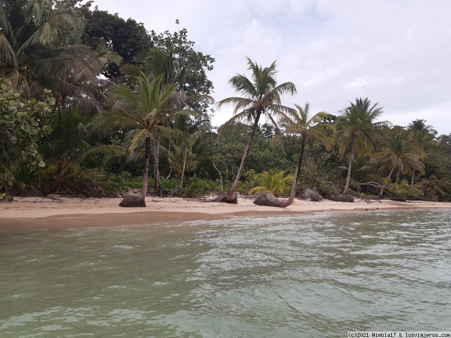 Costa Rica: 14 días low cost en el Caribe - octubre 21 (en familia) - Blogs de Costa Rica - Bastimentos: playa Wizard y Playa Polo (4)