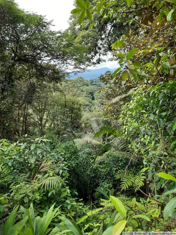Braulio Carrillo y el Rainforest Adventure - Costa Rica: 14 días low cost en el Caribe - octubre 21 (en familia) (3)
