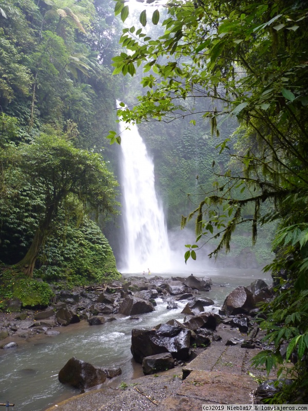 Bali - Turistas nivel principiantes - Indonesia en familia: muchos vuelos y pocas nueces (6)