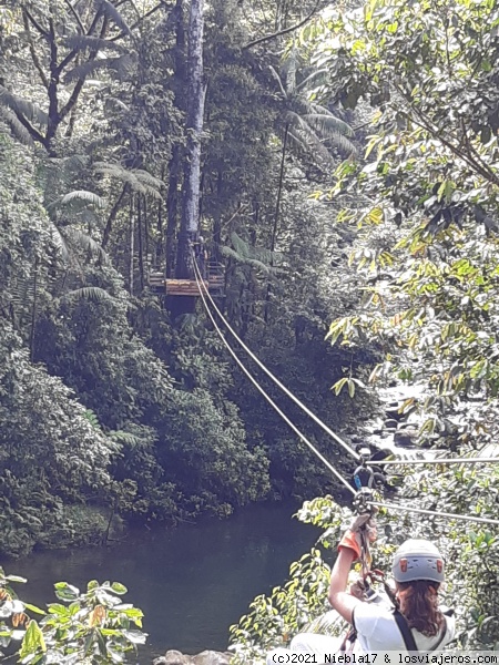 Tirolinas en el Rainforest
tirolina
