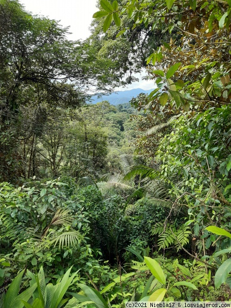 tirolinas en el Rainforest de Braulio Carrillo
tirolinas
