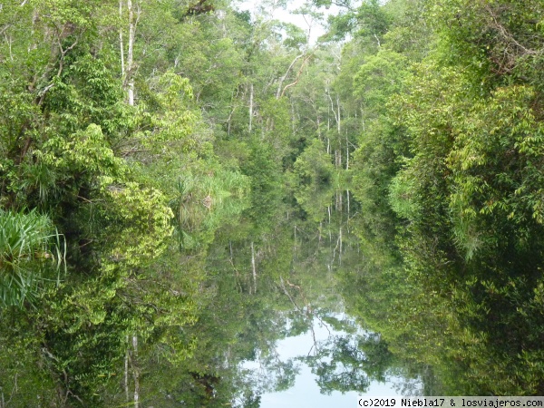 Rio negro
rio negro
