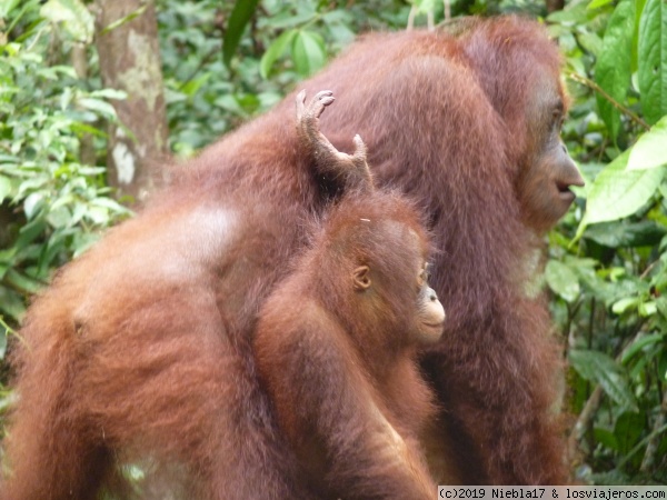 mama y su bebé
cuidando a su bebé
