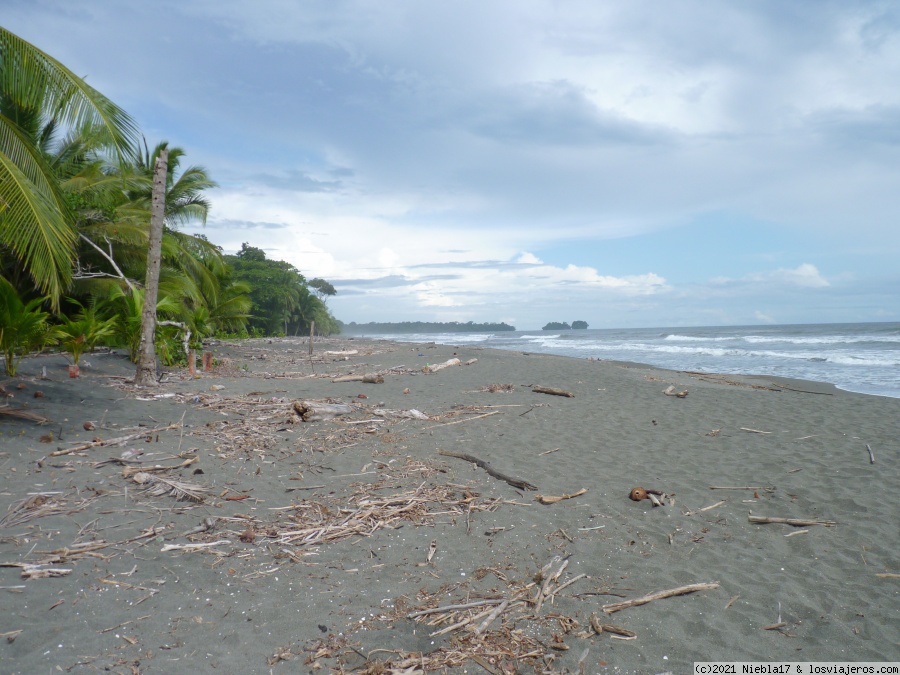 Refugio Gandoca Manzanillo (Sector Gandoca) - Costa Rica: 14 días low cost en el Caribe - octubre 21 (en familia) (1)