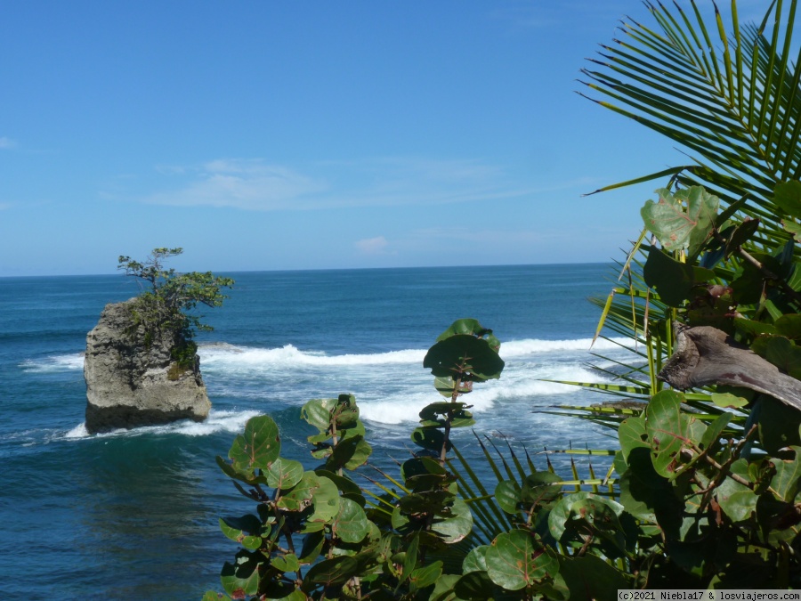 Costa Rica: 14 días low cost en el Caribe - octubre 21 (en familia) - Blogs of Costa Rica - Refugio Gandoca Manzanillo (sector Manzanillo) (6)